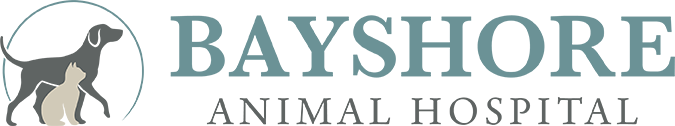 Bayshore Animal Hospital